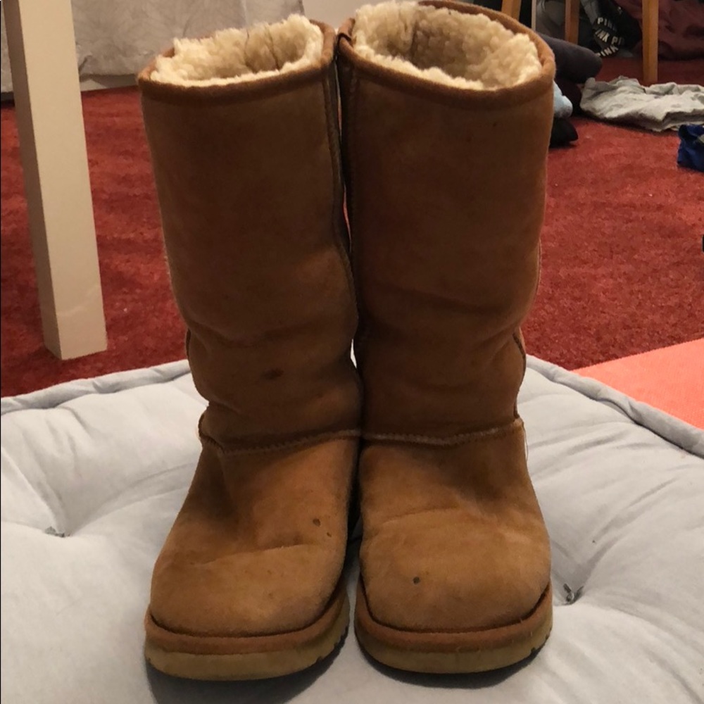 Woman’s UGG Classic Tall